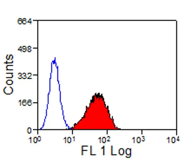 Anti Sheep CD335 Antibody, clone EC1.1 gallery image 4