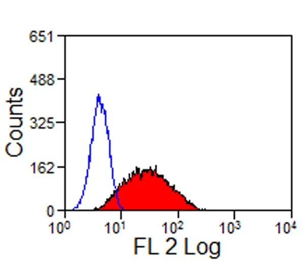 Anti Sheep CD335 Antibody, clone EC1.1 gallery image 5