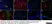 Anti Sheep CD4 Antibody, clone 44.38 thumbnail image 2