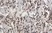 Anti Sheep CD45 Antibody, clone 1.11.32 thumbnail image 7