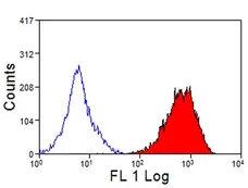 Anti Sheep CD45 Antibody, clone VPM18 gallery image 1