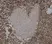 Anti Sheep CD45 Antibody, clone VPM18 thumbnail image 2