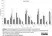 Anti Sheep CD8 Antibody, clone 38.65 thumbnail image 12