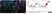 Anti Sheep CD8 Antibody, clone 38.65 thumbnail image 4