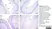 Anti Sheep Interleukin-8 Antibody, clone 8M6 thumbnail image 2
