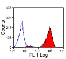 Anti Sheep MHC Class I Antibody, clone VPM19 gallery image 1