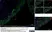 Anti Sheep MHC Class II DQ DR Polymorphic Antibody, clone 28.1 thumbnail image 3