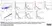 Anti Sheep MHC Class II DQ DR Polymorphic Antibody, clone 28.1 thumbnail image 7