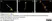 Anti Substance P Antibody, clone NC1/34 thumbnail image 19