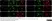 Anti Substance P Antibody, clone NC1/34 thumbnail image 3
