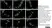 Anti Substance P Antibody, clone NC1/34 thumbnail image 8