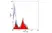 Anti Histidine Tag Antibody, clone AD1.1.10 thumbnail image 1