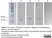 Anti Histidine Tag Antibody, clone AD1.1.10 thumbnail image 15