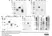 Anti Histidine Tag Antibody, clone AD1.1.10 thumbnail image 15