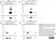 Anti Histidine Tag Antibody, clone AD1.1.10 thumbnail image 5