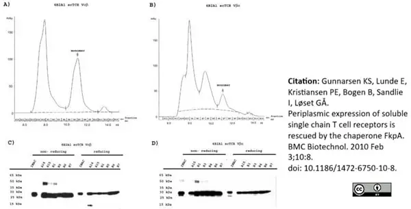 Anti Histidine Tag Antibody, clone AD1.1.10 gallery image 7