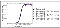 anti SpyCatcher Antibody, clone AbD41909kg gallery image 1