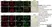 Anti Thyroxine Antibody, clone BGN/0980/322 (T4:1-32.2) thumbnail image 1