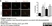 Anti Thyroxine Antibody, clone BGN/0980/322 (T4:1-32.2) thumbnail image 2