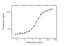 Anti Trastuzumab Antibody, clone AbD16712 gallery image 1