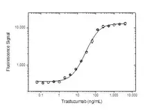 Anti Trastuzumab Antibody, clone AbD16712 gallery image 2