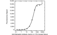 Anti Trastuzumab Antibody, clone AbD16712_hIgG1 gallery image 2