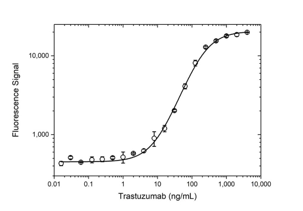 Anti Trastuzumab Antibody, clone AbD16714 gallery image 1