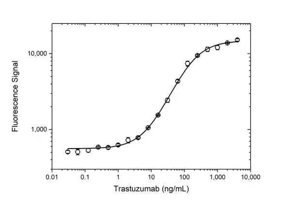 Anti Trastuzumab Antibody, clone AbD18018 gallery image 3