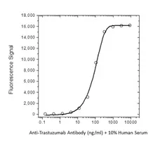 Anti Trastuzumab Antibody, clone AbD18018_hIgG1 gallery image 2