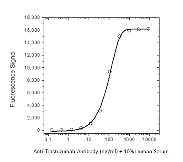 Anti Trastuzumab Antibody, clone AbD18018_hIgG1 gallery image 2