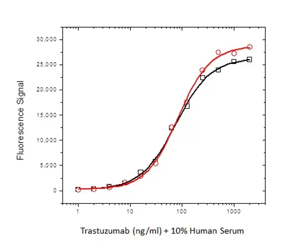 Anti Trastuzumab Antibody, clone AbD18018_hIgG1 gallery image 3