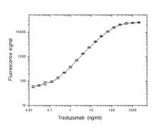 Anti Trastuzumab Antibody, clone AbD18141 gallery image 2