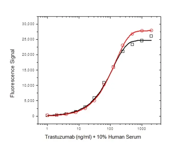 Anti Trastuzumab Antibody, clone AbD18141 gallery image 3