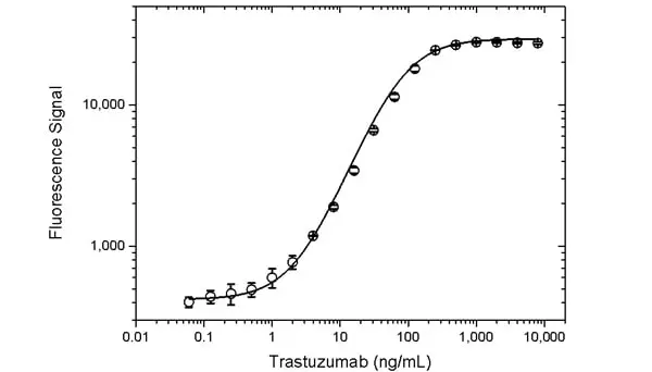 Anti Trastuzumab (Drug/Target Complex) Antibody, clone AbD25279 gallery image 2