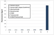 Anti Trastuzumab (Drug/Target Complex) Antibody, clone AbD25279 gallery image 3