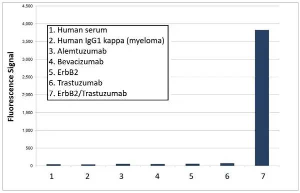 Anti Trastuzumab (Drug/Target Complex) Antibody, clone AbD25279 gallery image 3