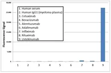 Anti Ustekinumab Antibody, clone AbD17829 gallery image 1