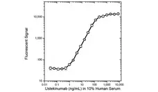 Anti Ustekinumab Antibody, clone AbD17829 gallery image 3