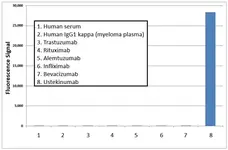 Anti Ustekinumab Antibody, clone AbD18334 gallery image 1