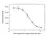 Anti Vedolizumab Antibody, clone AbD30139_hIgG1 thumbnail image 5