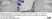 Anti Canine Distemper Virus Antibody, clone DV2-12 thumbnail image 1