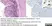 Anti Feline Coronavirus Antibody, clone FIPV3-70 thumbnail image 3