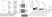 Anti Epstein-Barr Virus Nuclear Antigen Antibody, clone E1-2.5 thumbnail image 1