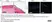 Anti Feline Herpes Virus Type 1 Antibody, clone FHV7-7C thumbnail image 1