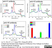 Anti Influenza A H1N1 Hemagglutinin Antibody, clone C102 (IV.C102) thumbnail image 1