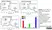 Anti Influenza A H1N1 Hemagglutinin Antibody, clone C102 (IV.C102) thumbnail image 1
