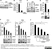 Anti Influenza A Matrix Protein Antibody, clone GA2B thumbnail image 4