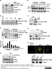 Anti Influenza A Matrix Protein Antibody, clone GA2B thumbnail image 6