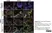 Anti Influenza A Nucleoprotein Antibody, clone AA5H thumbnail image 4