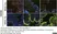 Anti Influenza A Nucleoprotein Antibody, clone AA5H thumbnail image 6